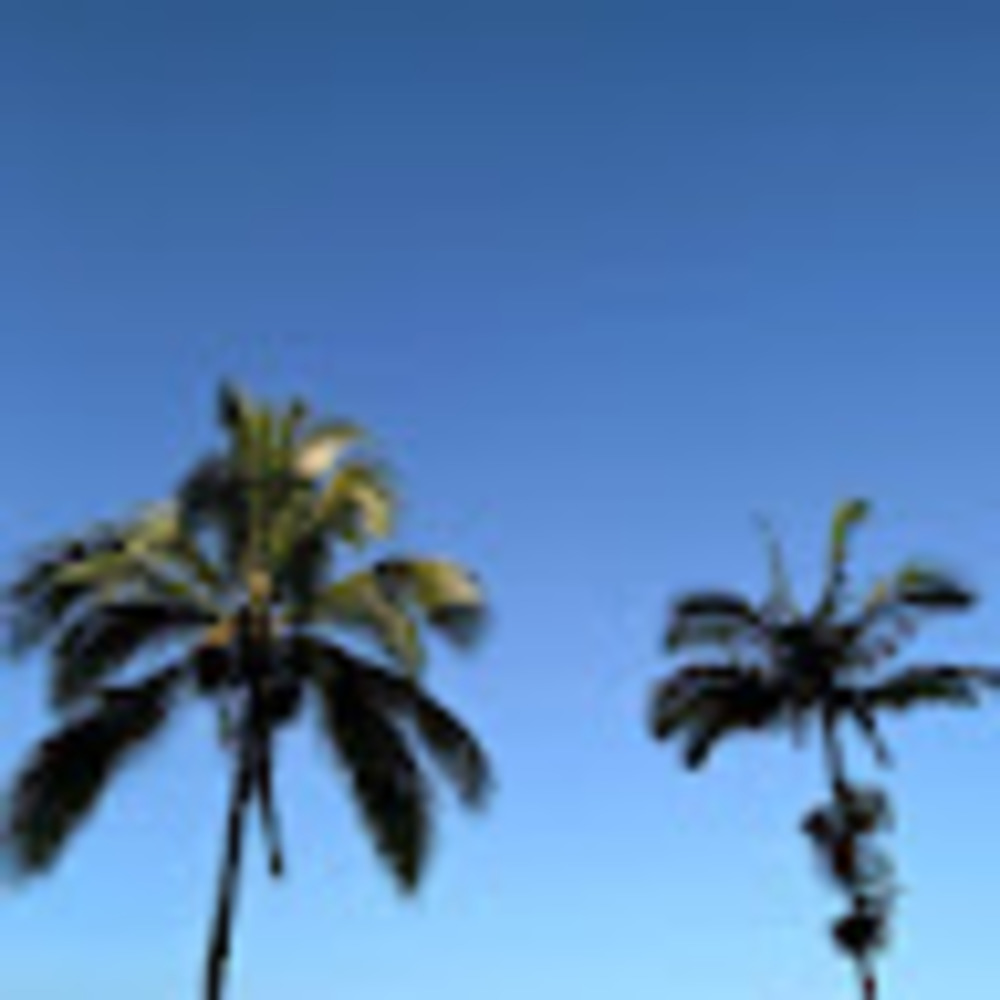 Meet your Posher, Jayda